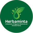Herbaminta